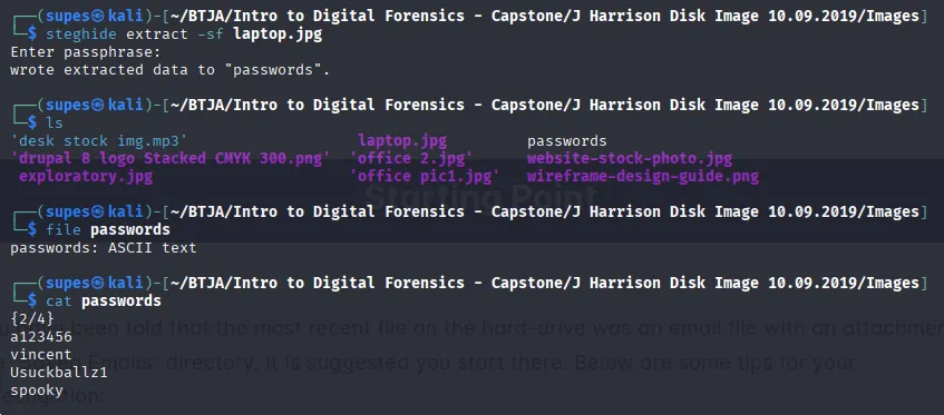 Steganography Extraction